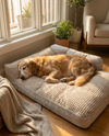 Cloakd™ Orthopedic Dog Bed