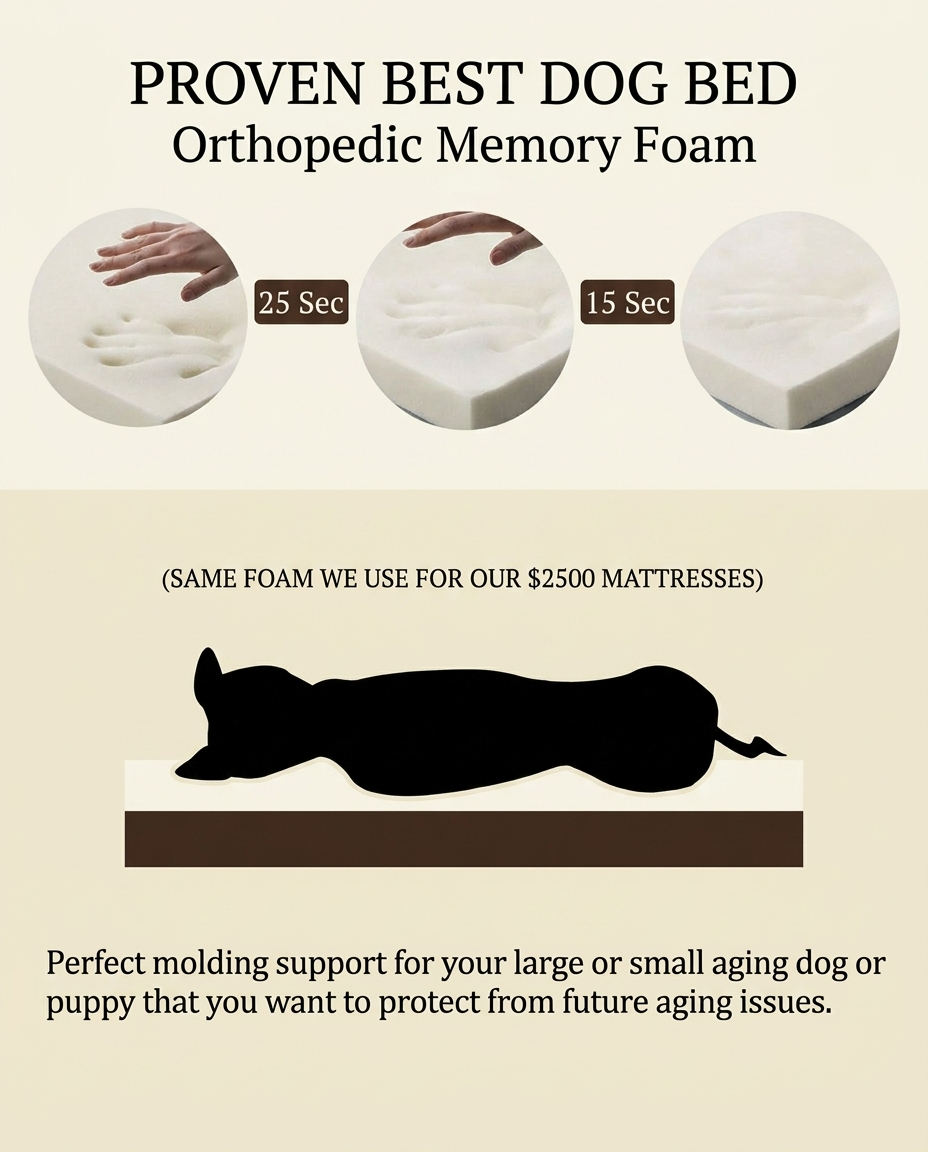 Cloakd™ Orthopedic Dog Bed